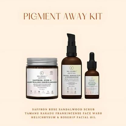 Picture of Juicy Chemistry Pigment Away Kit 